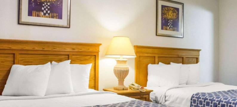 斯科特斯德老城罗德威酒店(Rodeway Inn Old Town Scottsdale)图片