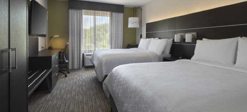 智选假日套房酒店伟大的BARRINGTON(Holiday Inn Express & Suites GREAT BARRINGTON - LENOX AREA by IHG)图片