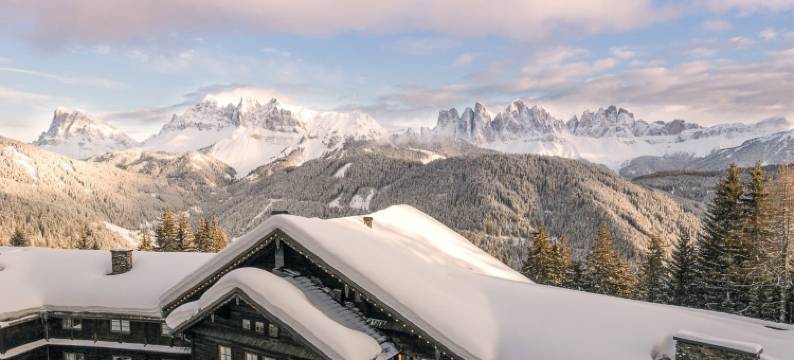 福雷斯蒂斯酒店Forestis Dolomites(意大利)(Forestis Dolomites)图片