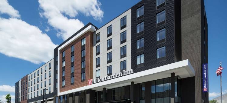 麦迪逊市中心希尔顿花园酒店(Hilton Garden Inn Madison Downtown)图片