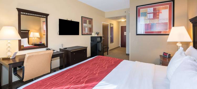 Comfort Inn & Suites Maingate South图片