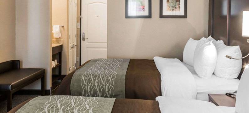 舒适酒店及套房(Comfort Inn & Suites Pharr/McAllen)图片