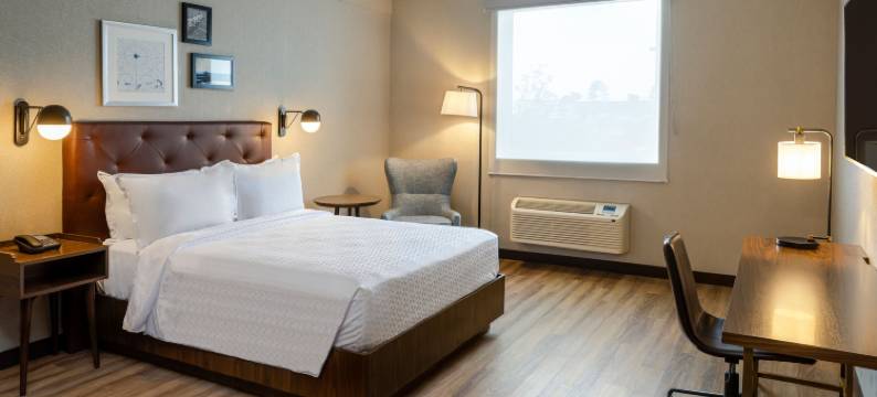 Four Points by Sheraton Monterrey Airport图片