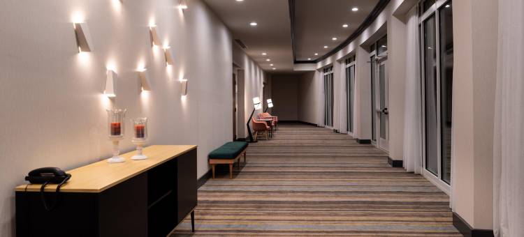 奥兰多国际大道主题公园智选假日套房酒店(Holiday Inn & Suites Orlando I-Drive - Theme Parks)图片