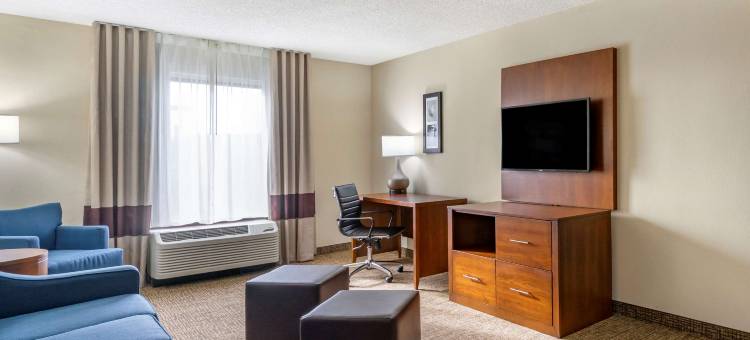 舒适酒店及套房-圣彼得堡-克利尔沃特国际机场(Comfort Inn & Suites St Pete - Clearwater International Airport)图片