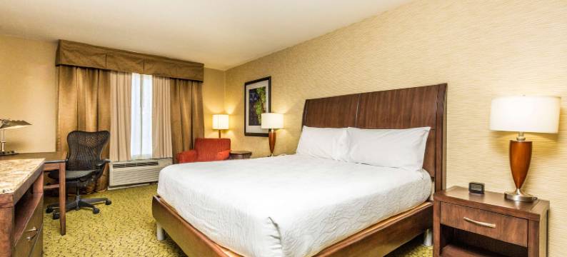 圣乔治希尔顿花园酒店(Hilton Garden Inn St. George)图片