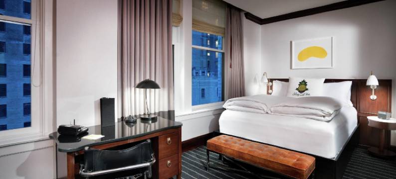 卢普区菠萝住宿标志酒店(Staypineapple, An Iconic Hotel, the Loop Chicago)图片