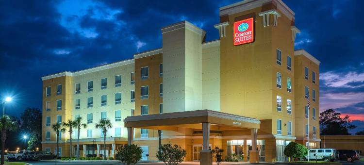 湖城舒适套房酒店(Comfort Suites Lake City)图片