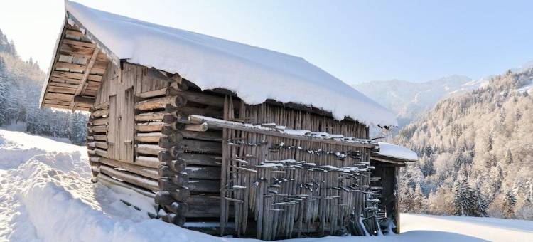 Das Graseck - 隐藏在山中与健康护理(Das Graseck - Mountain Hideaway & Health Care)图片