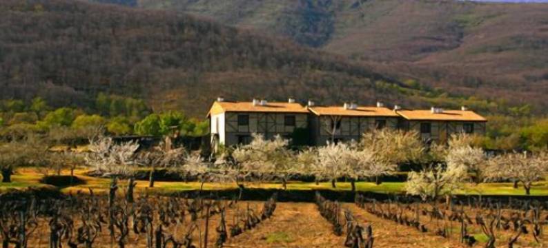 埃尔康恰德拉加伊纳酒店(El Canchal de la Gallina -Cafetería -Aparcamiento Gratis - Jacuzzi)图片