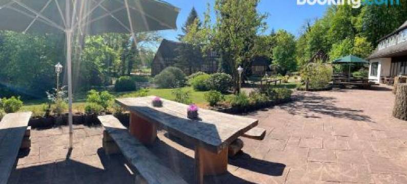 Forsthaus-Ferienhotel am Dobrock图片