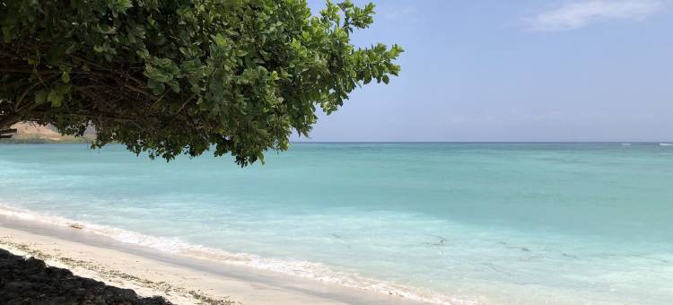 迈阿莫海滩小屋(MYAMO BEACH LODGE)图片