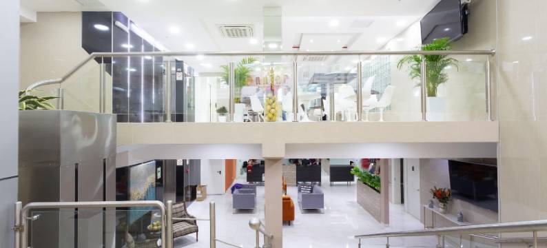 温德姆豪生利马米拉弗洛雷斯艺术之家(Howard Johnson by Wyndham Lima Miraflores Art House)图片