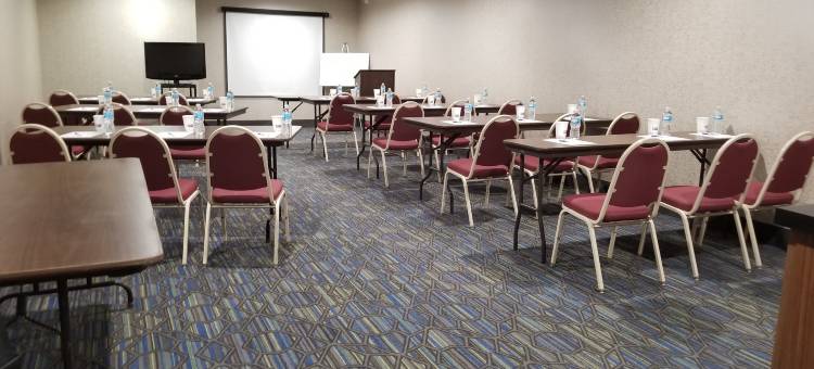 Holiday Inn Express 桦木运行(弗兰肯默斯区)(Holiday Inn Express Birch Run (Frankenmuth Area))图片