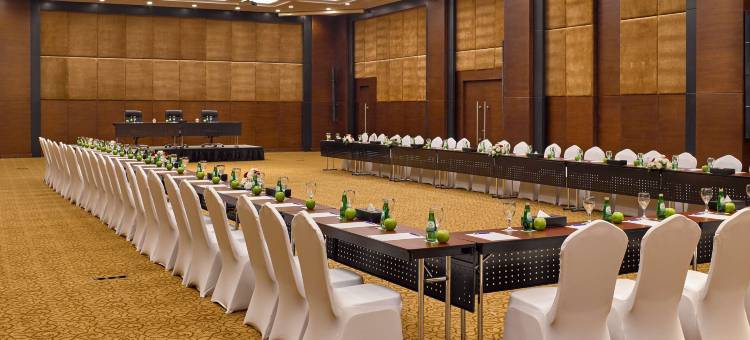 丽笙蓝标酒店及会议中心, 亚历山大(Radisson Blu Hotel & Convention Center, Alexandria)图片