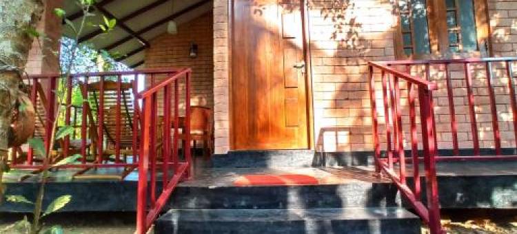 Oasis Safari Cottage图片