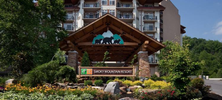 大雾山假日酒店&度假村(Holiday Inn Club Vacations Smoky Mountain Resort)图片