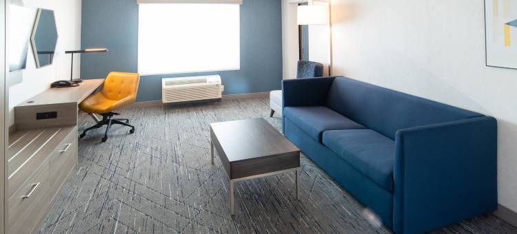 智选假日酒店及套房 - 穆斯乔(Holiday Inn Express & Suites Moose Jaw)图片