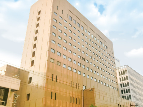 富山格兰露台酒店