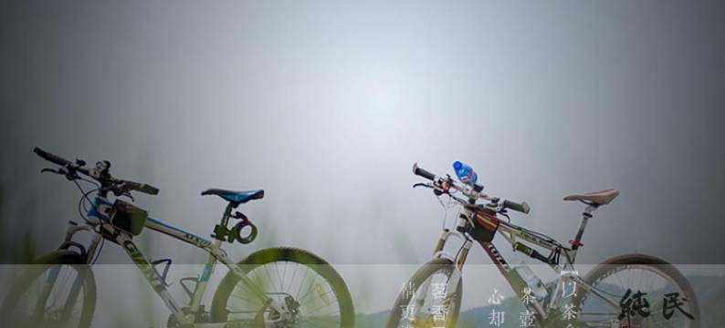 松阳柒茶客栈(大木山景区店)图片