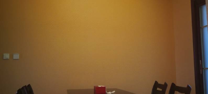 真定府精品民宿(卫前路分店)图片