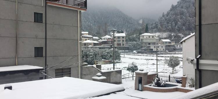 陈忠伟特色民宿(河白线分店)图片