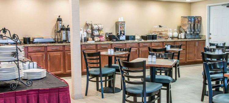 卡拉马祖凯隆酒店(Clarion Inn I-94 Near Expo Center)图片