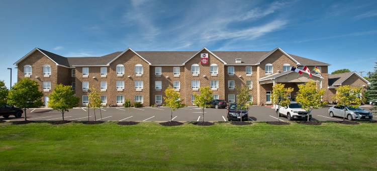 蒙克顿贝斯特韦斯特优质酒店(Best Western Plus Moncton)图片