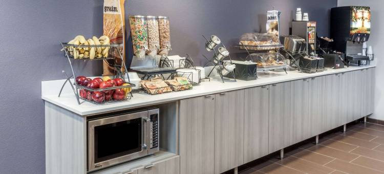 西法戈-近医疗中心温德姆麦客达套房酒店(Microtel Inn & Suites by Wyndham West Fargo Medical Center)图片