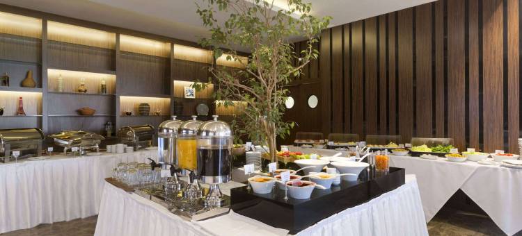 伊斯坦布尔机场华美达酒店(Ramada by Wyndham Istanbul Florya)图片