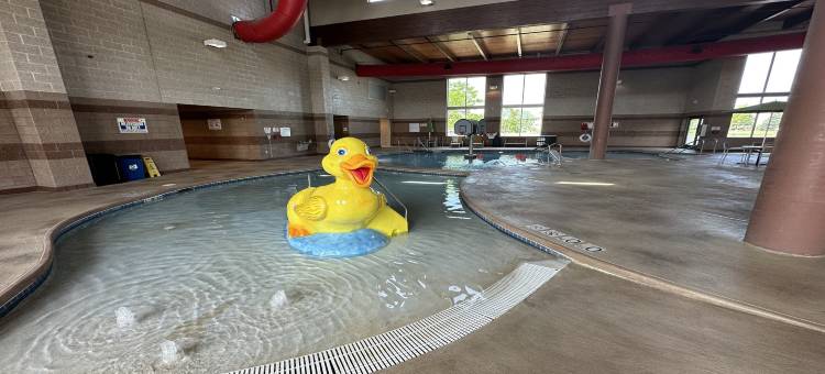 史蒂文斯角假日酒店 - 会议中心(Holiday Inn Stevens Point - Convention Ctr)图片