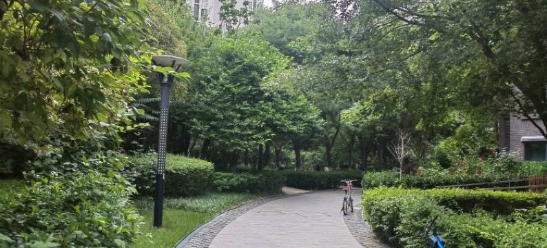 玫瑰梦欢迎您公寓(沿河街分店)图片