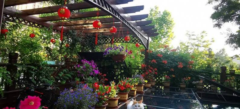 枫驿客栈民宿(团结路分店)图片