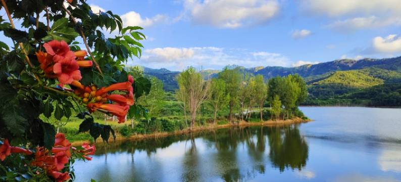里口山独门独户小院(里口山路分店)图片