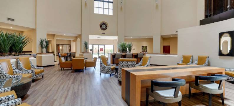 凤凰城机场德鲁里套房酒店(Drury Inn & Suites Phoenix Airport)图片