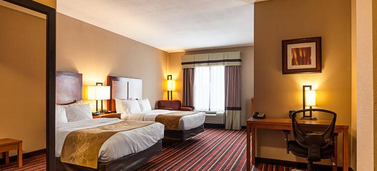 萨尔弗 - 查尔斯湖舒适套房酒店(Comfort Suites Sulphur-Lake Charles)图片