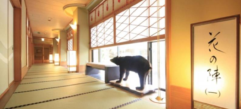 信玄馆(Shingenkan)图片