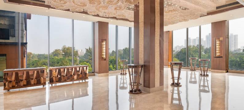 德里NCR-卡萨比塔丽笙蓝标酒店(Radisson Blu Towers Kaushambi Delhi NCR)图片