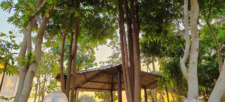 Nature's Lap Resort图片