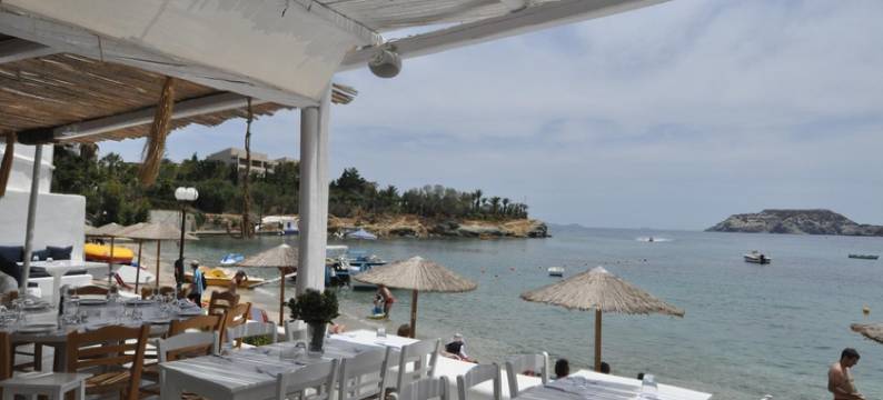 佩尼史戴拉公寓酒店(Pennystella Apartments)图片