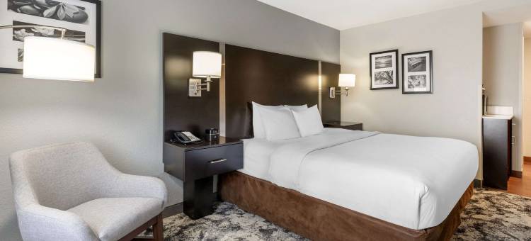 亚特兰大菲尔西南贝斯特韦斯特优质酒店(Best Western Plus Fairburn-Atlanta Southwest)图片