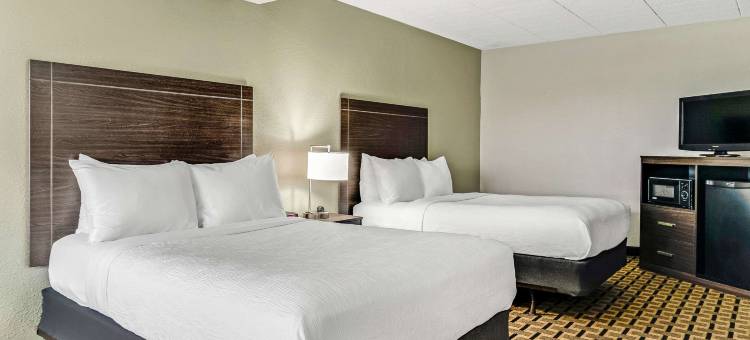 底特律市中心凯艺酒店(Quality Inn Detroit Downtown)图片