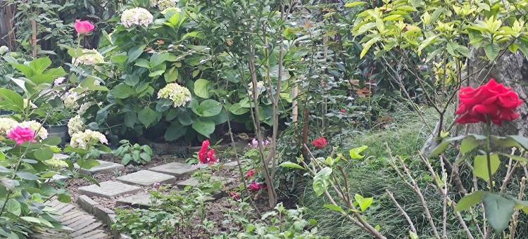 亲子房瘦西湖个园东关街皮市街博物馆市中心公寓(康乐街分店)图片