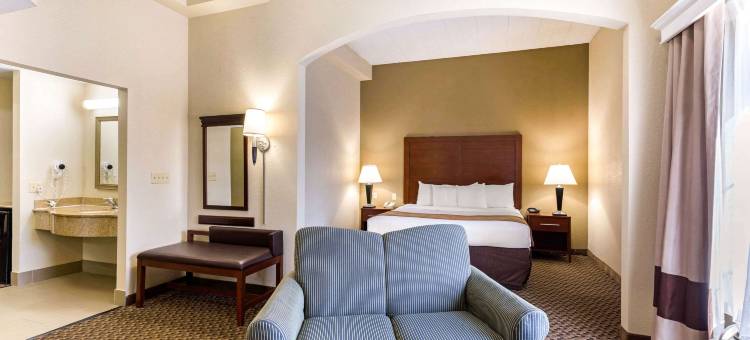 哥伦比亚门户舒适套房酒店(Comfort Suites Columbia Gateway)图片