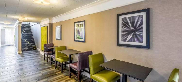 北查尔斯顿品质酒店及套房 - 阿什利磷酸盐(Quality Inn & Suites North Charleston - Ashley Phosphate)图片