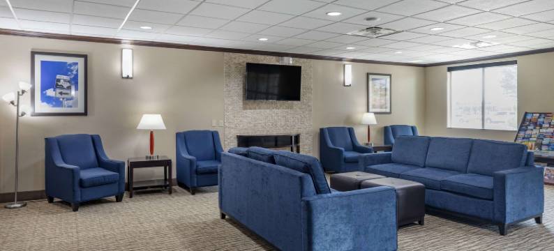 普莱诺-北达拉斯舒适全套房酒店(Comfort Suites Plano - Dallas North)图片