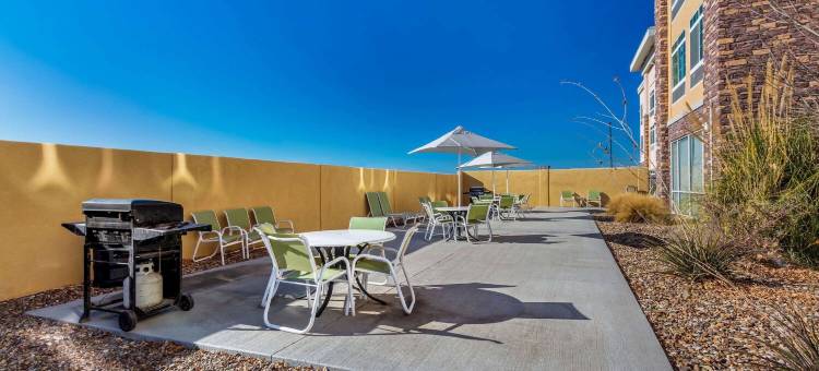 莫纳汉斯拉昆塔温德姆套房酒店(La Quinta Inn & Suites by Wyndham Monahans)图片