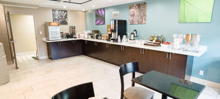 诺克斯维尔西舒眠套房酒店(Sleep Inn & Suites West Knoxville)图片