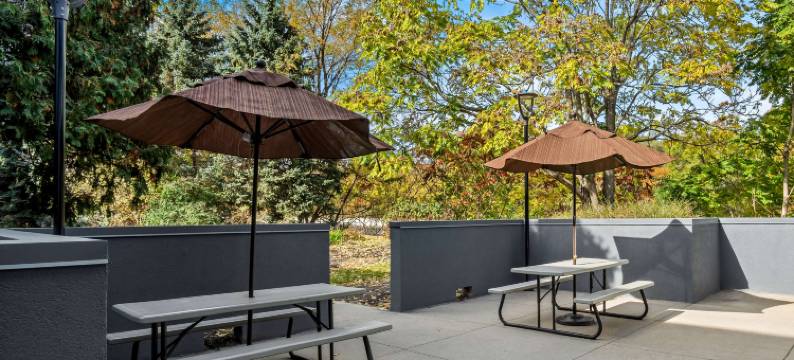 史蒂文斯维尔希尔顿Spark酒店(Spark by Hilton Stevensville)图片