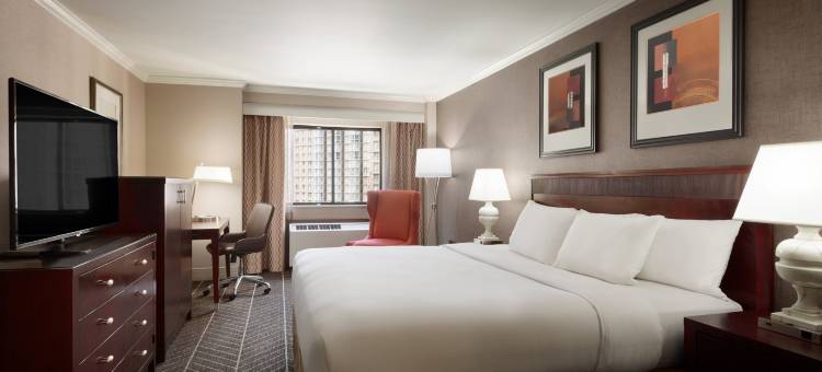 阿灵顿希尔顿酒店(Hilton Arlington)图片